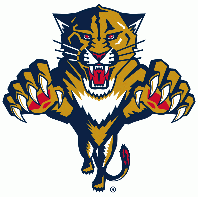 Florida Panthers1999-2016 Primary Logo iron on heat transfer...